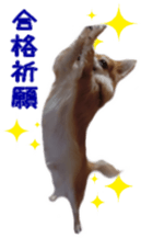 Sticker of Cereza7 sticker #14393034