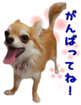 Sticker of Cereza7 sticker #14393035