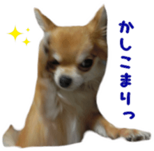 Sticker of Cereza7 sticker #14393051