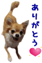 Sticker of Cereza7 sticker #14393053