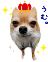 Sticker of Cereza7 sticker #14393055