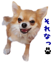 Sticker of Cereza7 sticker #14393056