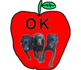 Labrador RHG sticker #14394104