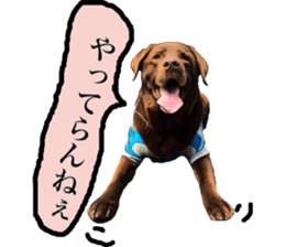 Labrador RHG sticker #14394106