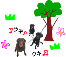 Labrador RHG sticker #14394107