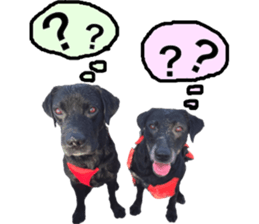 Labrador RHG sticker #14394109