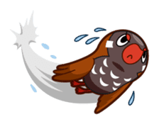 okipara collection of winter2017 sticker #14397127