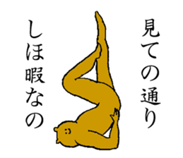 Bear's name is Shiho sticker #14397352