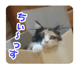 Pochi&Ichigo sticker #14397398