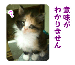 Pochi&Ichigo sticker #14397403