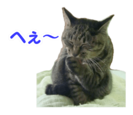 Pochi&Ichigo sticker #14397407