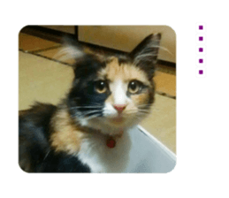 Pochi&Ichigo sticker #14397409