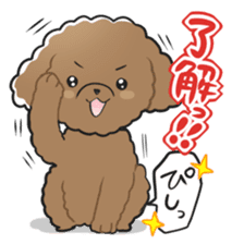 Toy poodle-chan sticker #14398002