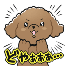 Toy poodle-chan sticker #14398011