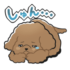 Toy poodle-chan sticker #14398017