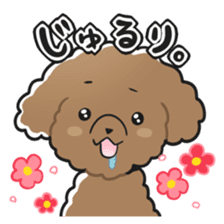 Toy poodle-chan sticker #14398019