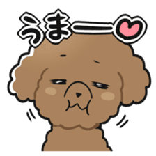 Toy poodle-chan sticker #14398020