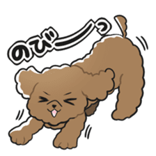 Toy poodle-chan sticker #14398029