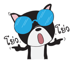 Frence Bulldog (Black Dogs) sticker #14398438