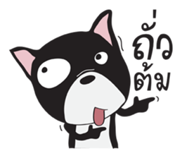 Frence Bulldog (Black Dogs) sticker #14398443