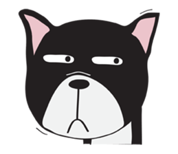 Frence Bulldog (Black Dogs) sticker #14398445
