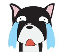 Frence Bulldog (Black Dogs) sticker #14398452
