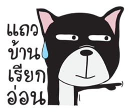 Frence Bulldog (Black Dogs) sticker #14398461