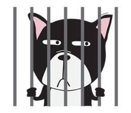 Frence Bulldog (Black Dogs) sticker #14398466