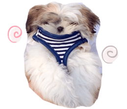 Si-zu picture2 sticker #14399156