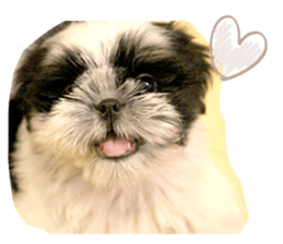 Si-zu picture2 sticker #14399161