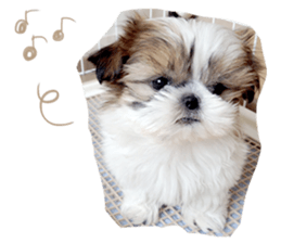 Si-zu picture2 sticker #14399164