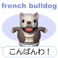 Cheerful french bulldog (Movie 01)