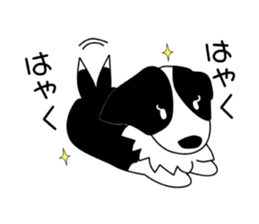 Love Love Border collies! 9 sticker #14400988