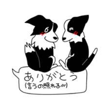 Love Love Border collies! 9 sticker #14401001