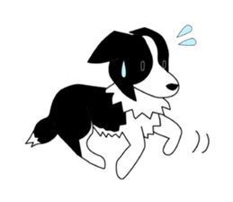 Love Love Border collies! 9 sticker #14401003