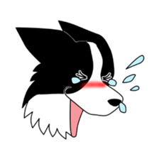 Love Love Border collies! 9 sticker #14401009