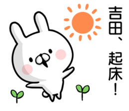 Yoshida's rabbit sticker sticker #14401870
