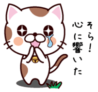 I am Sora sticker #14403431