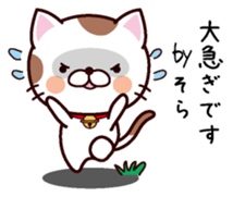 I am Sora sticker #14403442