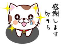 I am Sora sticker #14403448