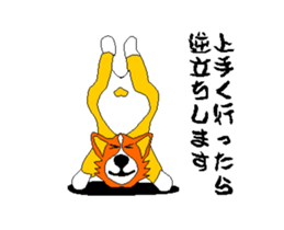 Moving Corgi sticker #14403768