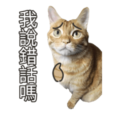 cartoon face cat 2 sticker #14404032