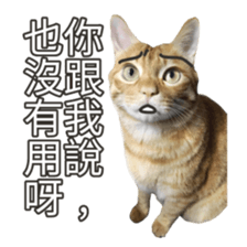 cartoon face cat 2 sticker #14404033