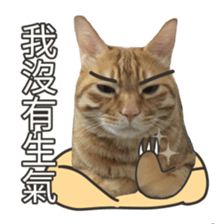 cartoon face cat 2 sticker #14404035