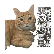 cartoon face cat 2 sticker #14404039