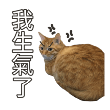 cartoon face cat 2 sticker #14404042