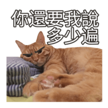 cartoon face cat 2 sticker #14404047