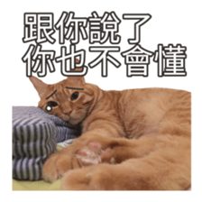 cartoon face cat 2 sticker #14404049