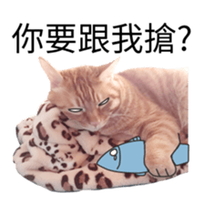 cartoon face cat 2 sticker #14404053