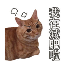 cartoon face cat 2 sticker #14404060